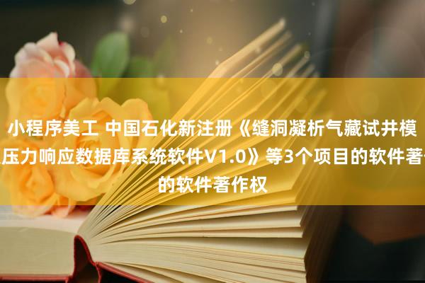 小程序美工 中国石化新注册《缝洞凝析气藏试井模型及压力响应数据库系统软件V1.0》等3个项目的软件著作权