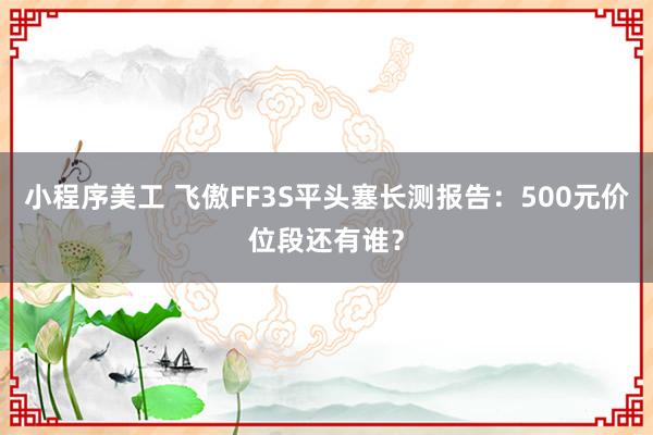 小程序美工 飞傲FF3S平头塞长测报告：500元价位段还有谁？